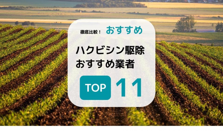 ハクビシン駆除お勧め業者