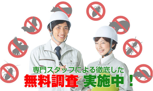 トコジラミ無料見積調査実施中！