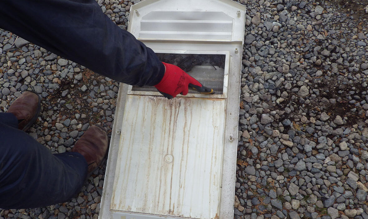 コウモリによる屋根裏被害