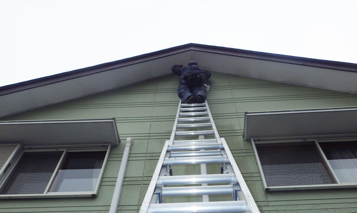 コウモリによる屋根裏被害