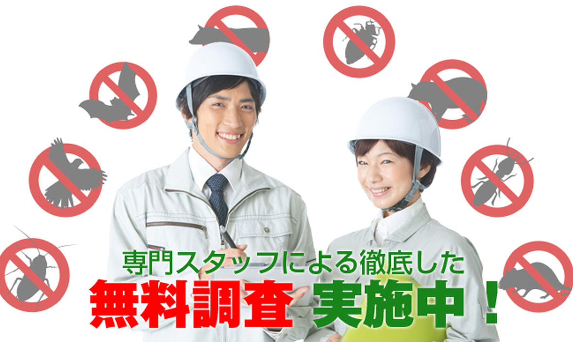 専門スタッフによる徹底した、無料調査実施中!