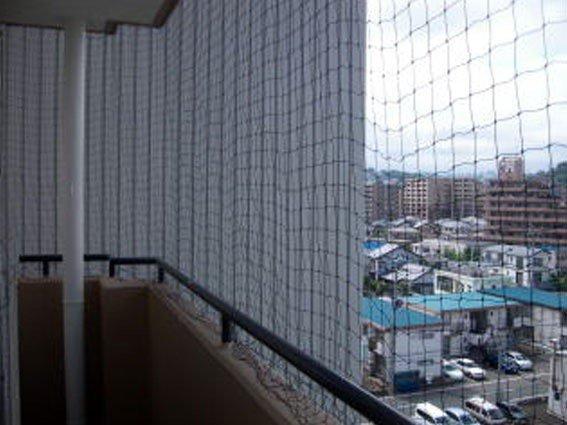 バードネット施工例1