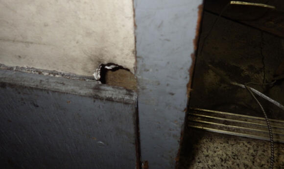 ネズミによる穴