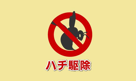 ハチ駆除