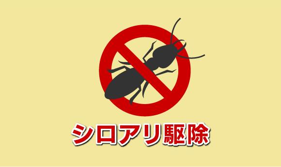 シロアリ駆除