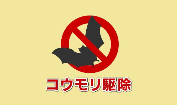コウモリ駆除