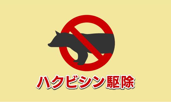 ハクビシン駆除