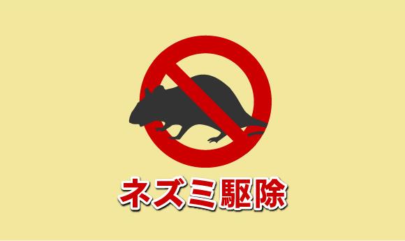 ネズミ駆除