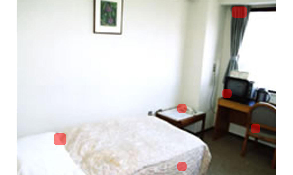 トコジラミの生息場所(洋室)