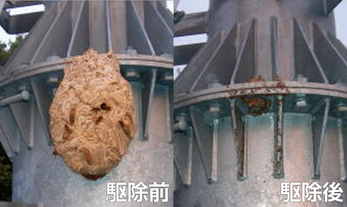 ハチ駆除前と後
