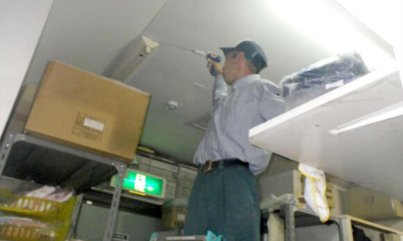 ゴキブリを薬剤で駆除