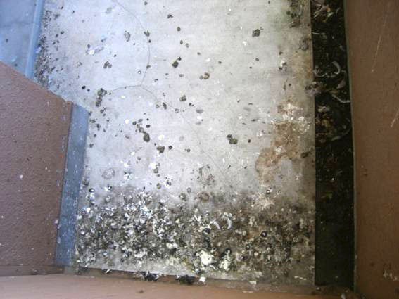 ハトの待機場所となったベランダの糞害