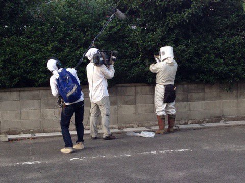 生垣のスズメバチの巣の駆除