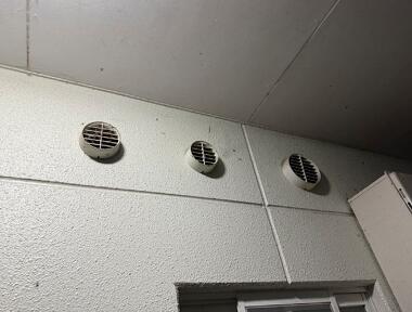 コウモリの侵入口