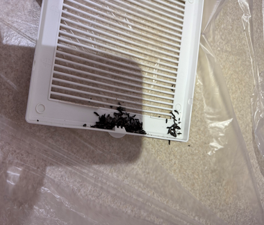 コウモリの糞が換気扇の中に