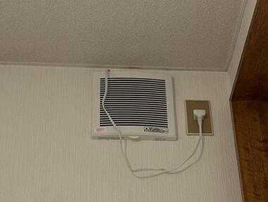 コウモリの糞が落ちてくる